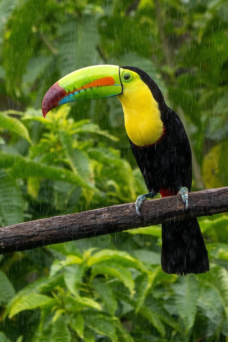 Costa Rica Adventure